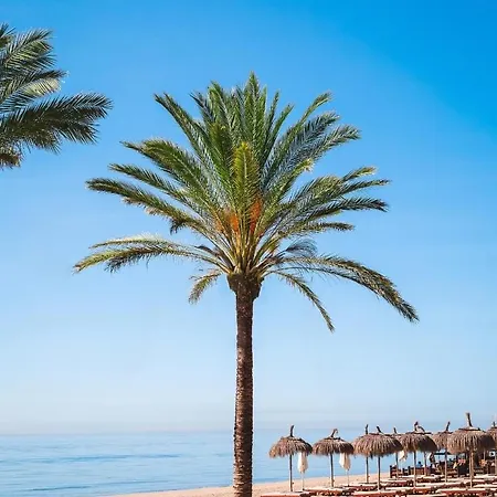 公寓 Puerto Banus Lola *