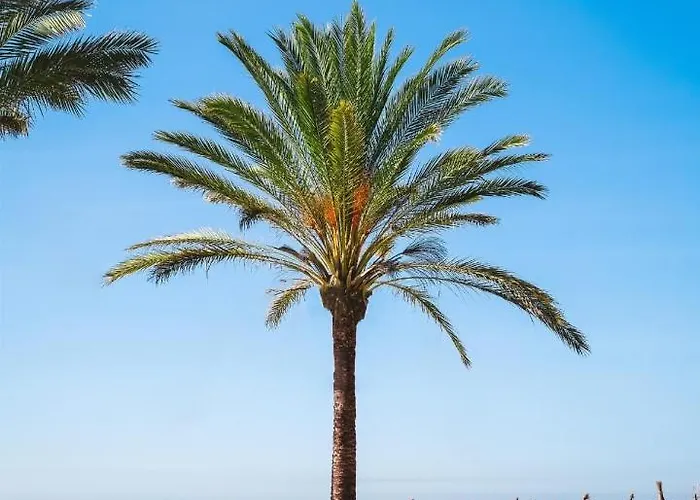 Apartment Puerto Banus Lola *